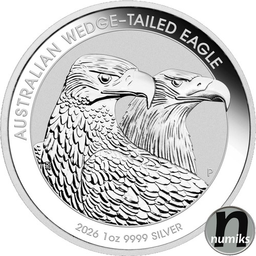 Wedge tailed eagle - wedge-tailed, a