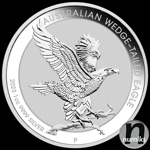 Wedge tailed eagle - eagle, aquila