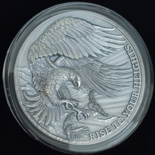 Eagle and raven del 2023 - eagle,